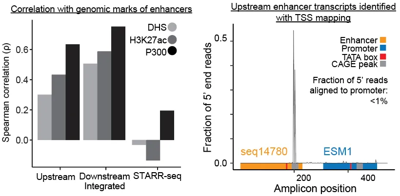Confounders in upstream and STARR-seq designs distort enhancer-activity measurements