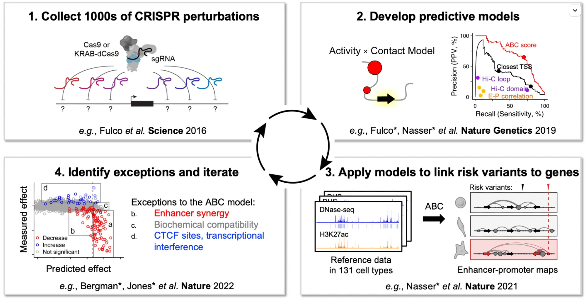 Iterative strategy: collect thousands of CRISPR perturbations, develop predictive models, apply them to link risk variants to genes, and identify exceptions to iterate on