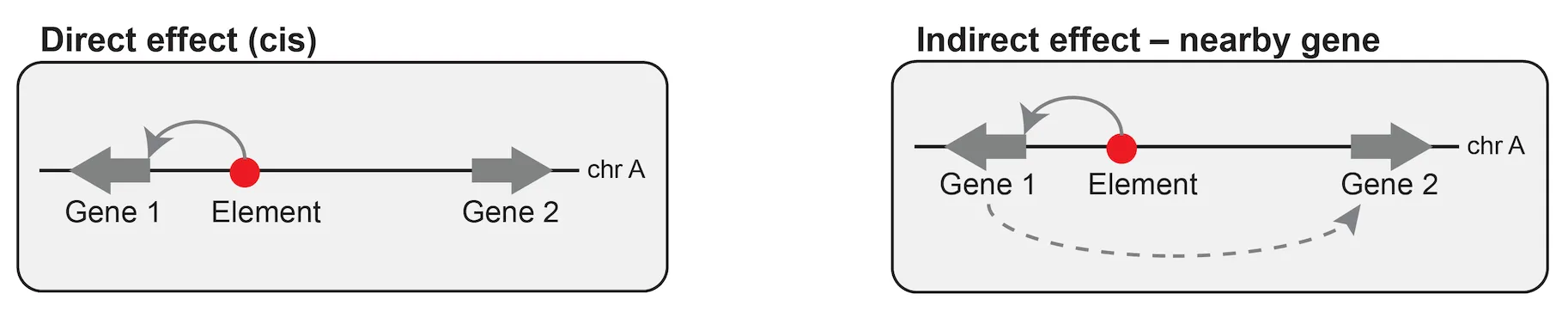 Figure from the thread on CTCF-only regulatory elements