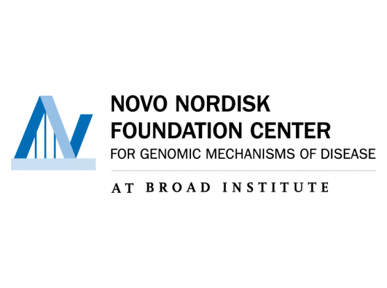 Novo Nordisk Foundation
